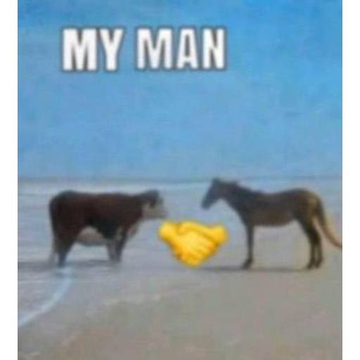 Набор стикеров BIGMEMESFUSUND для WhatsApp 22