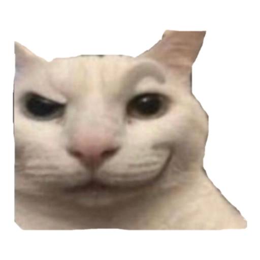Набор стикеров CAT REACTIONS для WhatsApp 1