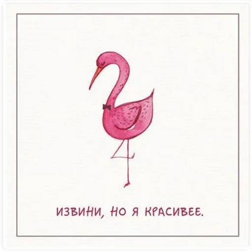 Набор стикеров Милые карточки для WhatsApp 2