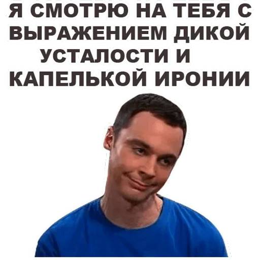 Набор стикеров Теория большого взрыва для WhatsApp 10