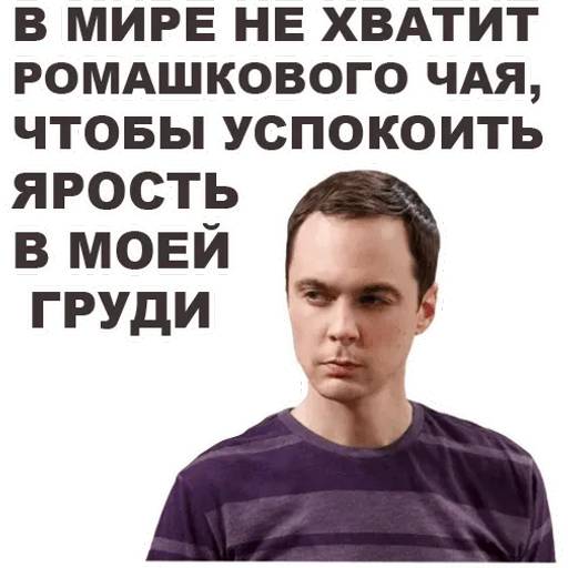 Набор стикеров Теория большого взрыва для WhatsApp 11