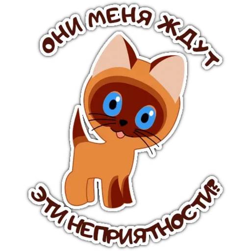 Набор стикеров Котенок по имени Гав для WhatsApp 1