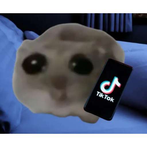 Набор стикеров hampter для WhatsApp 1