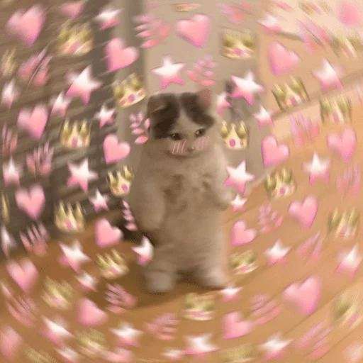 Набор стикеров $michi для WhatsApp 20