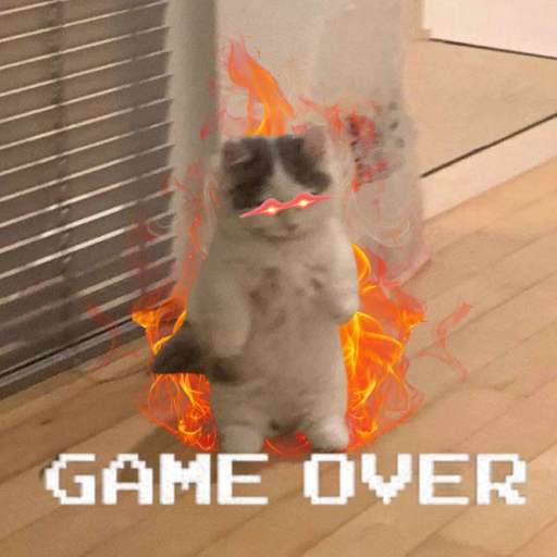 Набор стикеров $michi для WhatsApp 23