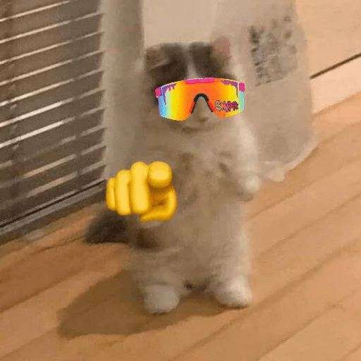 Набор стикеров $michi для WhatsApp 24