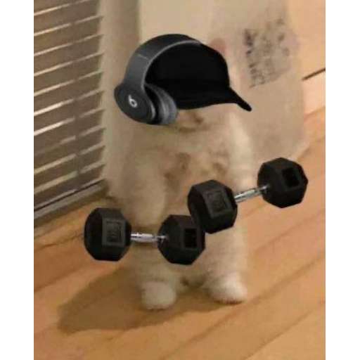 Набор стикеров $michi для WhatsApp 26