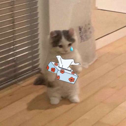 Набор стикеров $michi для WhatsApp 30