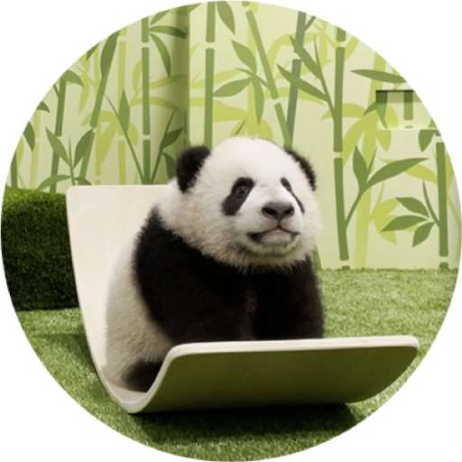 Набор стикеров Mandai - Say it with Le Le! ✨ для WhatsApp 18