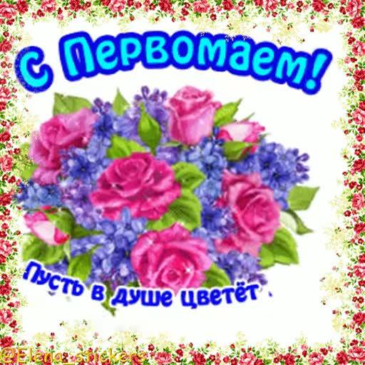 Набор стикеров 1 Мая @Elena_stickers для WhatsApp 18