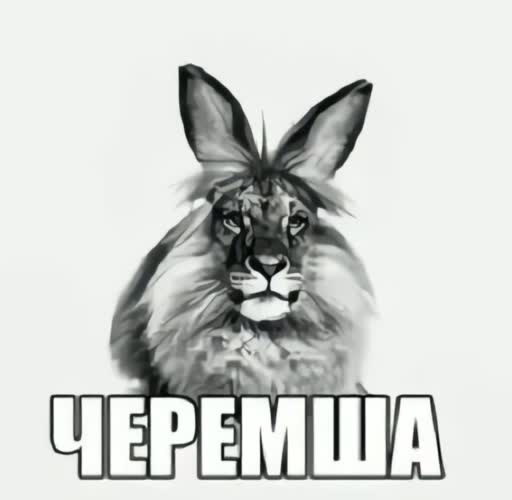 Набор стикеров Черемша, пряники для Telegram 1