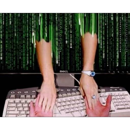 Набор стикеров TikTok Reactions для WhatsApp 1