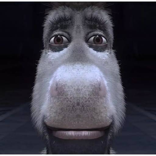 Набор стикеров TikTok Reactions для WhatsApp 10