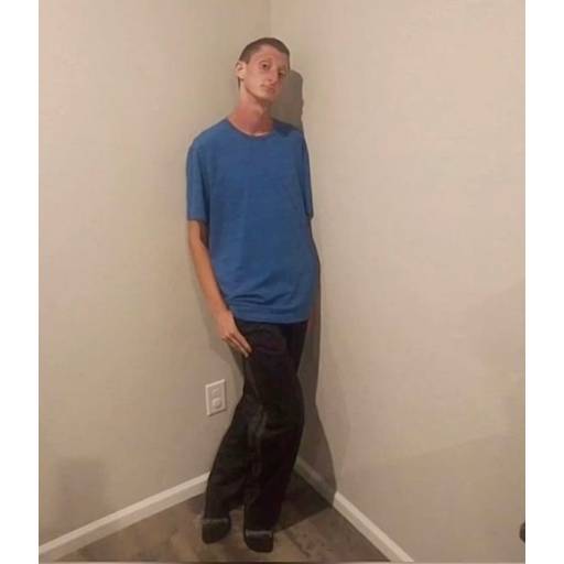 Набор стикеров TikTok Reactions для WhatsApp 14