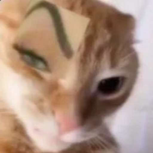 Набор стикеров Emotional Damage Cat Sticker для WhatsApp 20