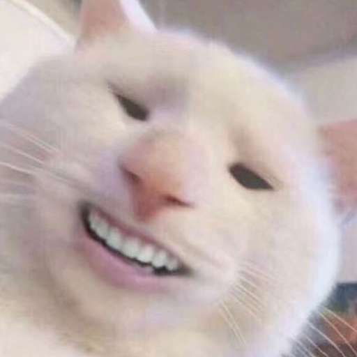 Набор стикеров Emotional Damage Cat Sticker для WhatsApp 21