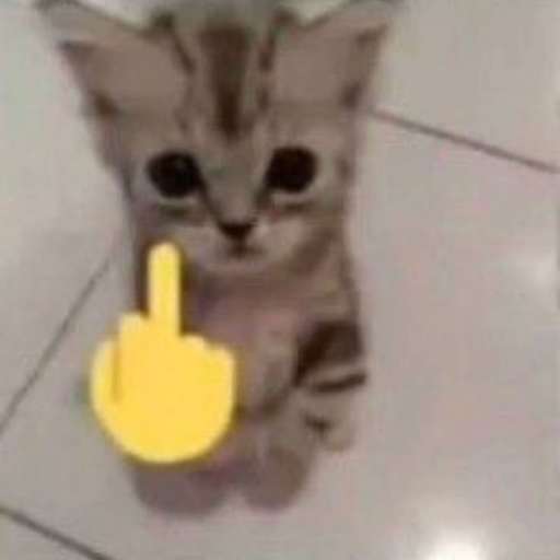 Набор стикеров Emotional Damage Cat Sticker для WhatsApp 24