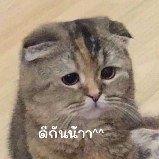 Набор стикеров Emotional Damage Cat Sticker для WhatsApp 26