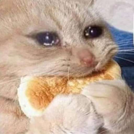 Набор стикеров Emotional Damage Cat Sticker для WhatsApp 27