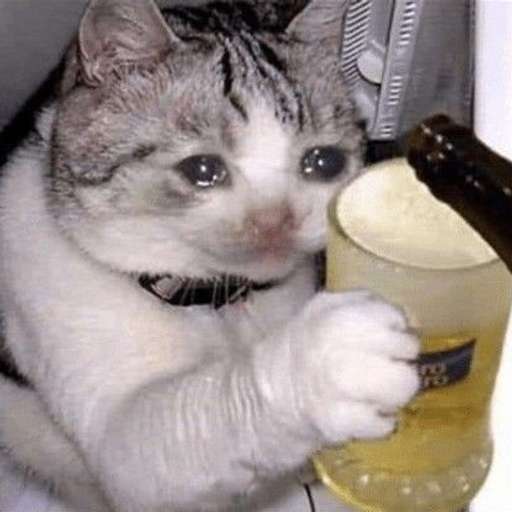 Набор стикеров Emotional Damage Cat Sticker для WhatsApp 28