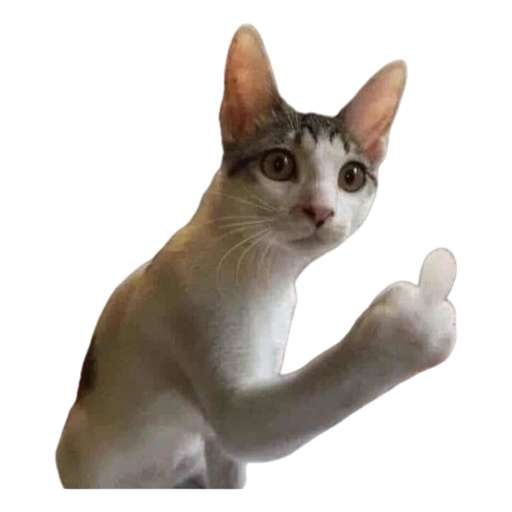 Набор стикеров Fuck You для WhatsApp 29