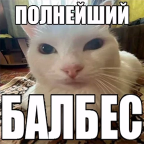 Али$АСКовородка 0