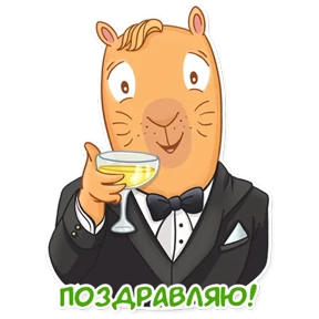 Капи Барри 20