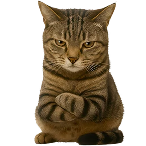 Непослушный кот 0