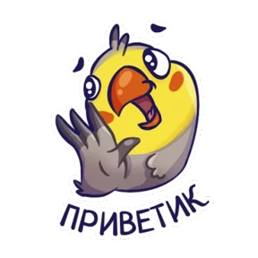 Попугайчики 14