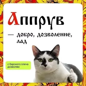 Старорусский ИТ 0