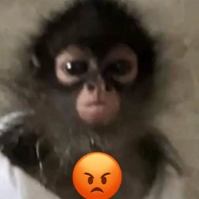 Бибизьяны 0