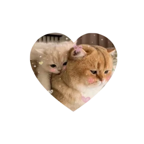 Котики в сердечках 0