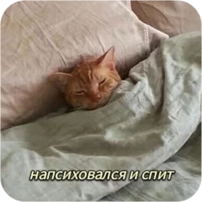 Котопак 0