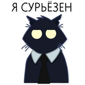 Черный кот 0