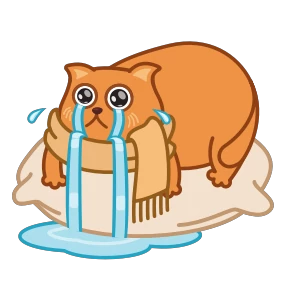 Котик Боба в шарфике 1