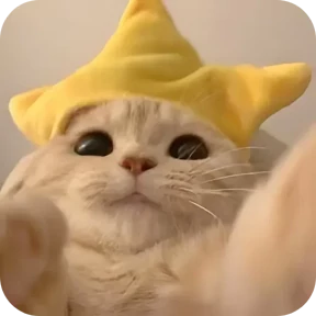 Котики в шапочках 0