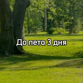 До лета 0