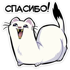 Хорёк Гера 15