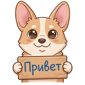 Корги 21