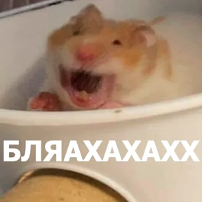 Lolanimals4 0