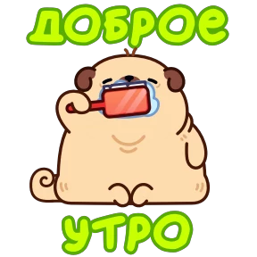 Мопс Пельмень 0