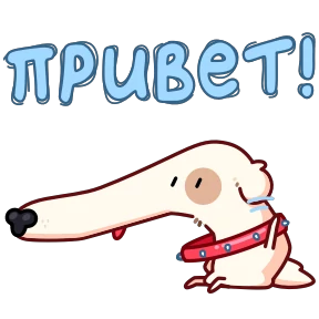 Собака сутулая 0
