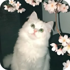 Животные с цветочками 0
