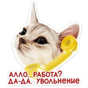 КотоПесики КотоПесики — стикер для MAX