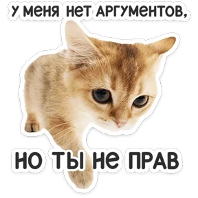 КотоПесики КотоПесики — стикер для MAX