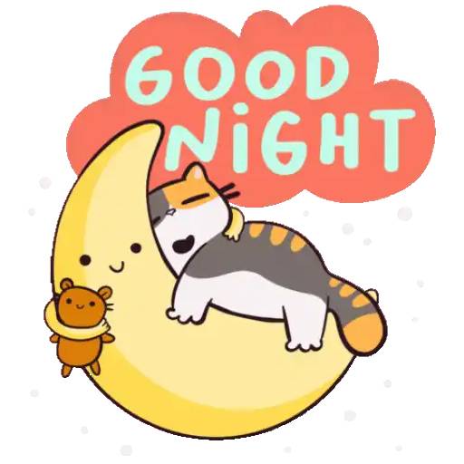 Набор стикеров Morning and Night 🌞🌚✨.mov для WhatsApp 12