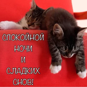 Спокойной ночи 0