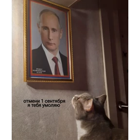 Фсё Фсё — стикер для MAX